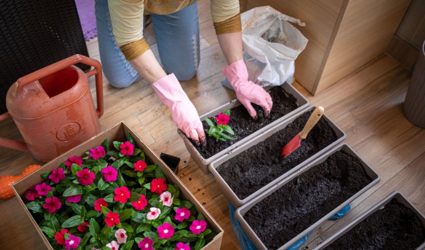 Top Tips for Successful Indoor Container Gardening for Vegetables